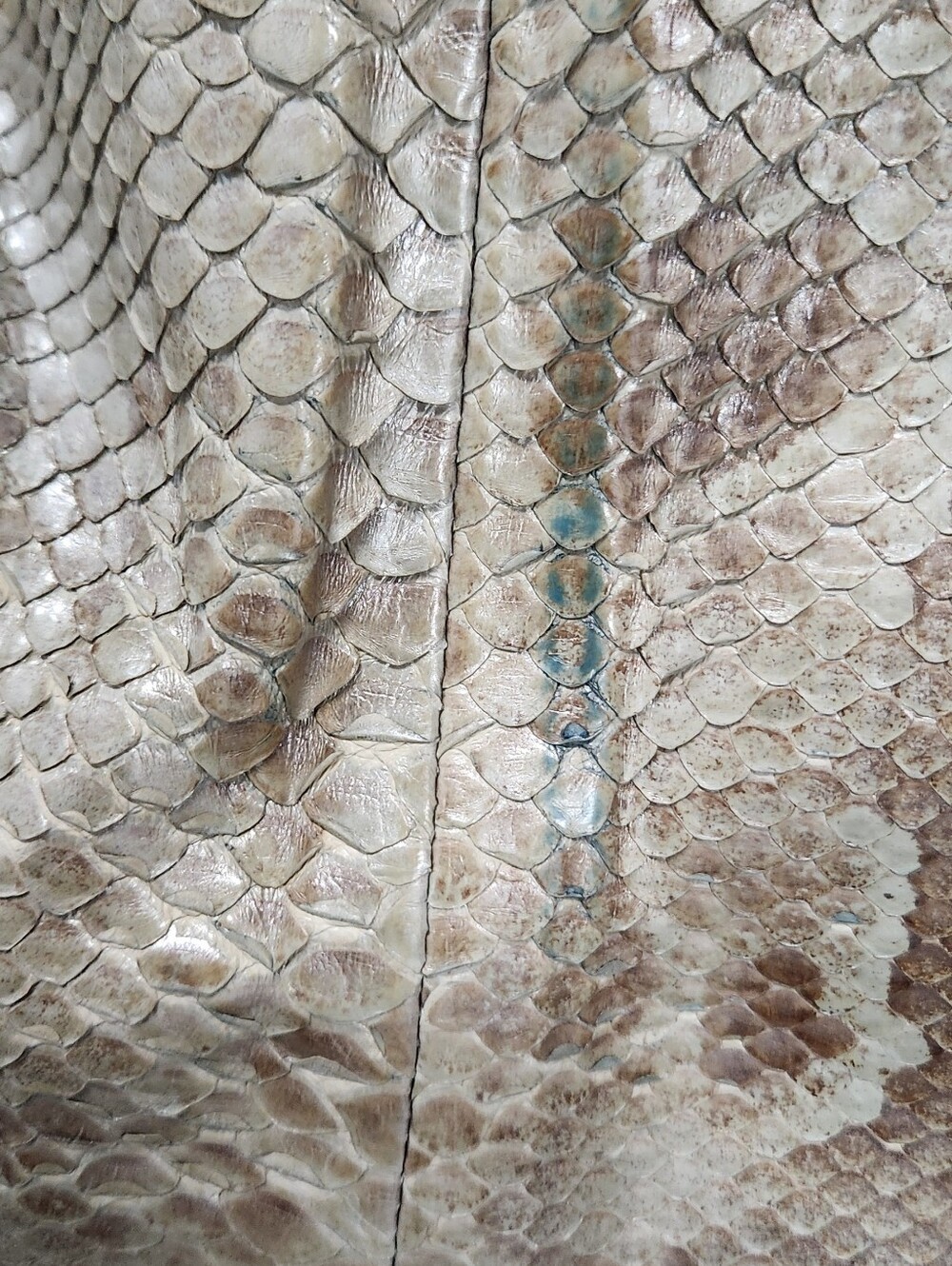 Authentic Gucci Snakeskin Drawstring Shoulder Bag - Picture 13 of 14
